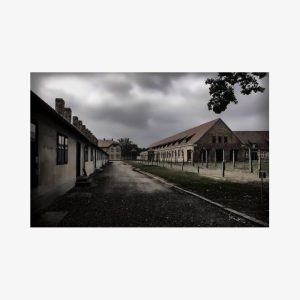 Auschwitz Private Tour