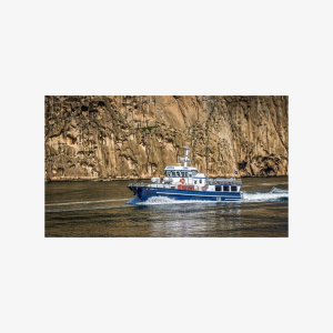 Boat Tour in Vestmannaeyjar