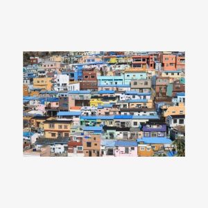 Private Busan tour with gamcheon culture village and the temple (Customizable)