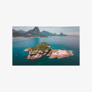 Boat Tour - Snorkeling with Turtles or Whale Watching Experience, Family of 3