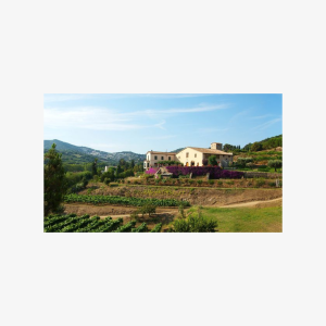 Boat tour to the vineyards with wine tasting from Barcelona, Family of 3